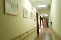 <strong>规模复杂：30余亩占地</strong>